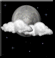 Partly cloudy